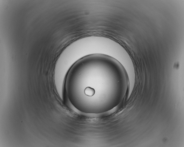 X0000096170092200802011329