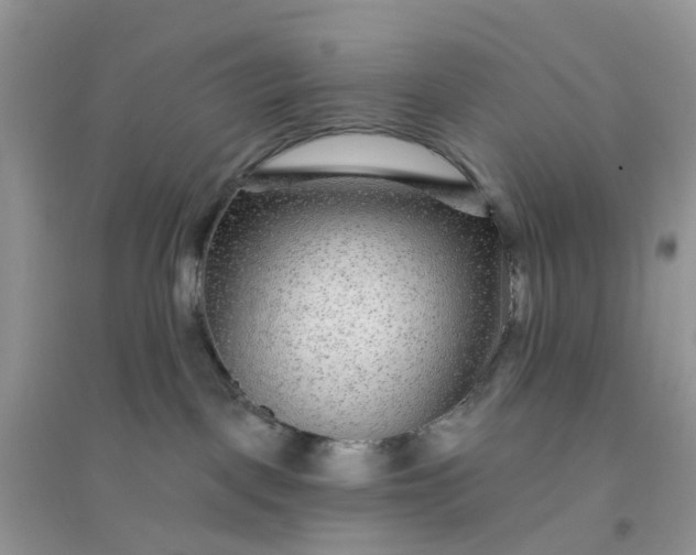 X0000096170093200802011329