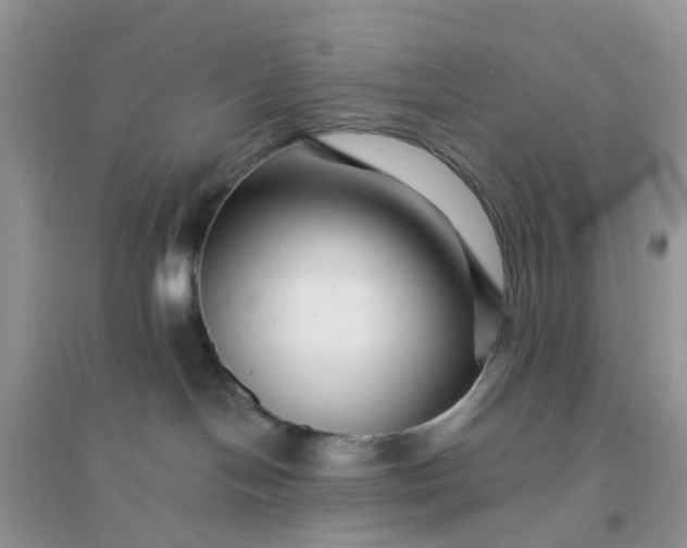 X0000096170094200802011329