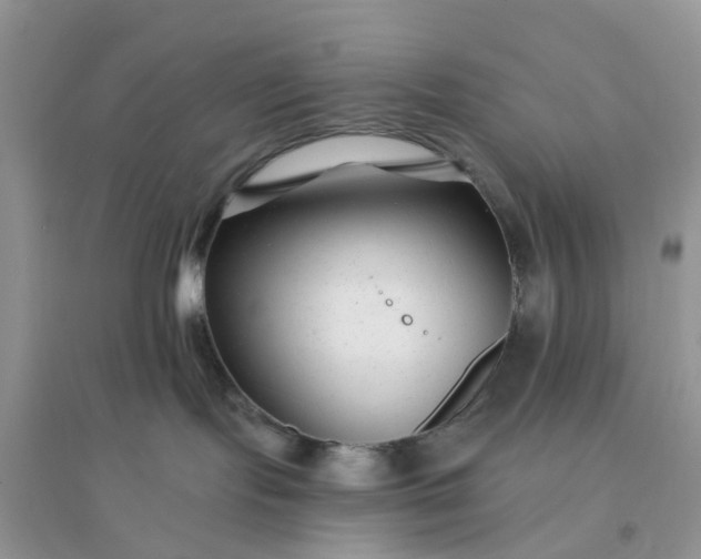 X0000096170095200802011329