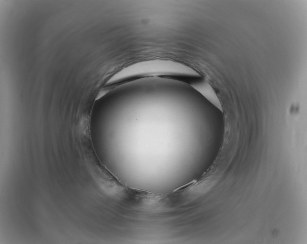 X0000096170096200802011329