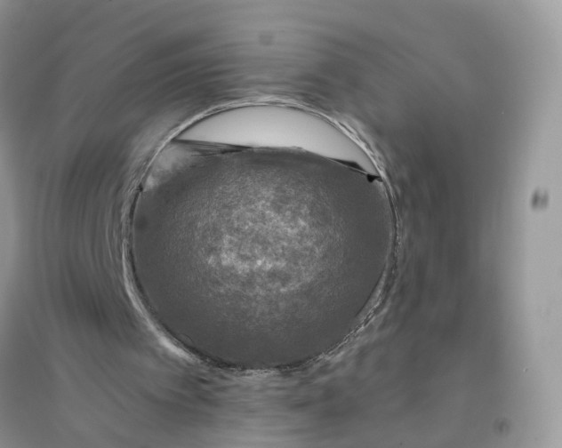 X0000096170097200802011328