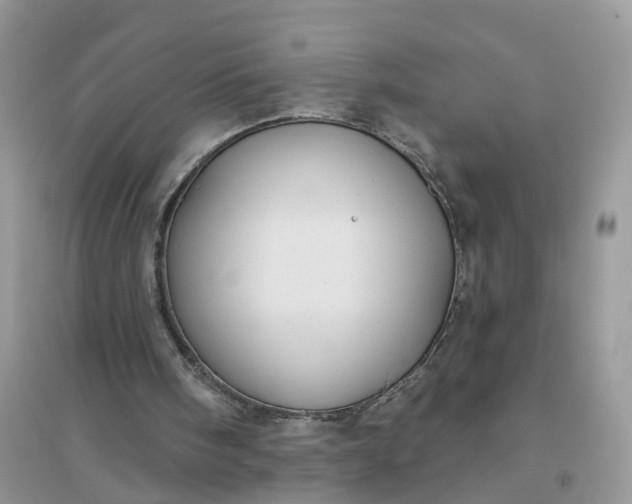 X0000096170098200802011328