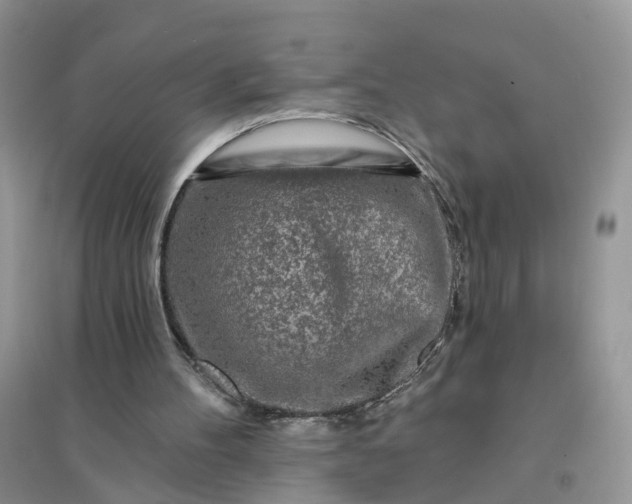 X0000096170100200802011328