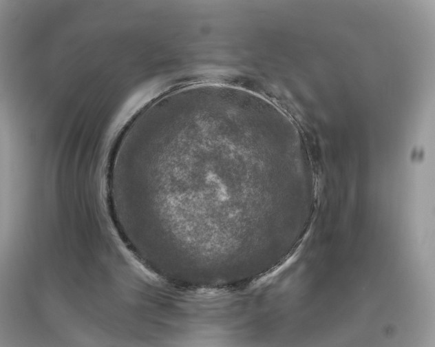 X0000096170101200802011328