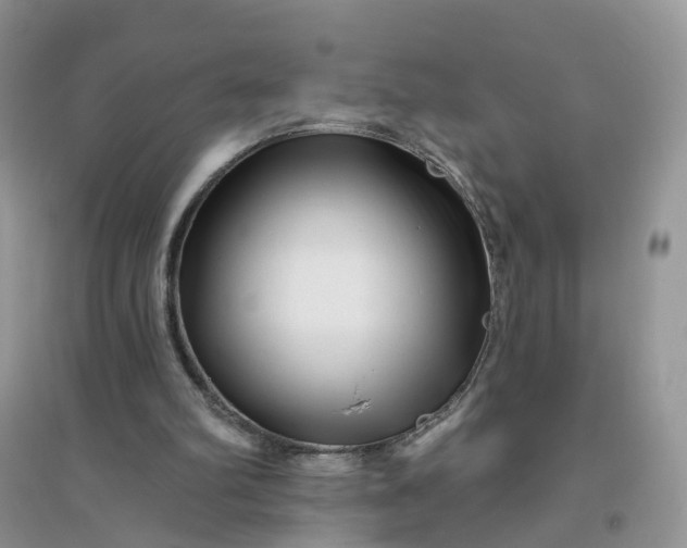 X0000096170102200802011328