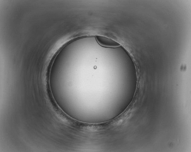 X0000096170103200802011328