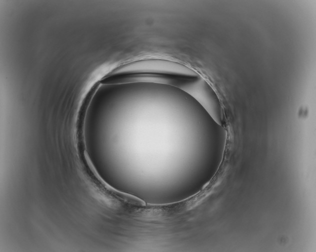 X0000096170104200802011328