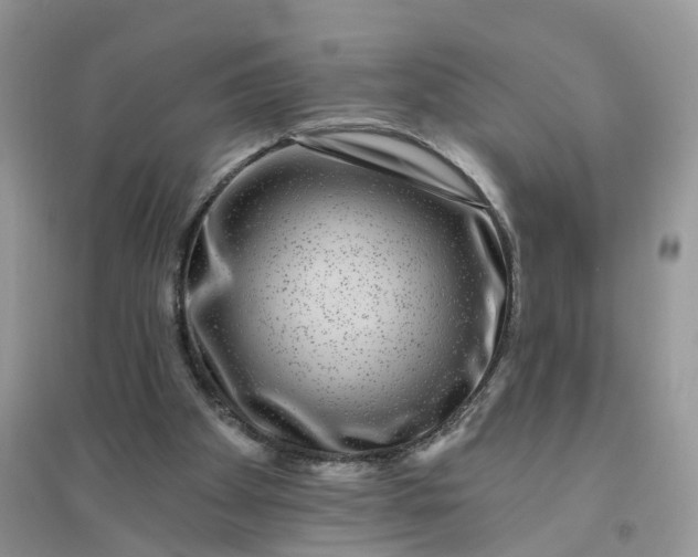 X0000096170105200802011328