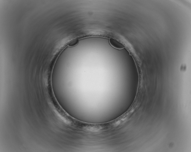 X0000096170106200802011328