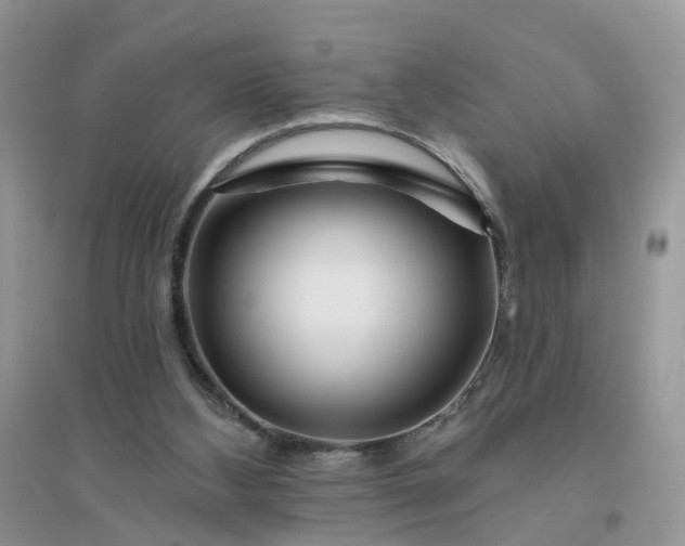 X0000096170108200802011328