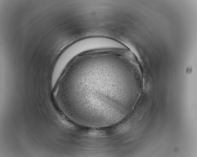 X0000096170109200802011328