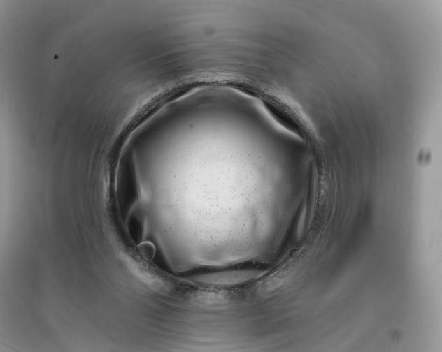 X0000096170110200802011328