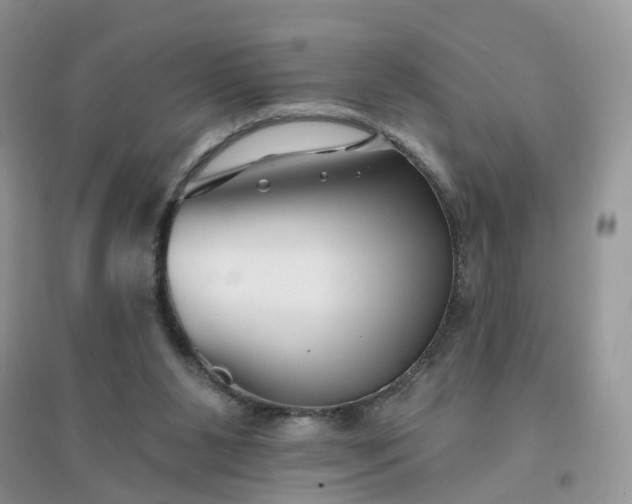 X0000096170111200802011328