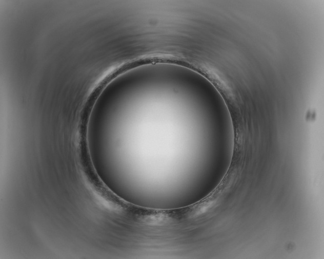 X0000096170112200802011328