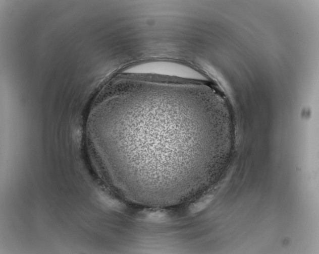 X0000096170113200802011328