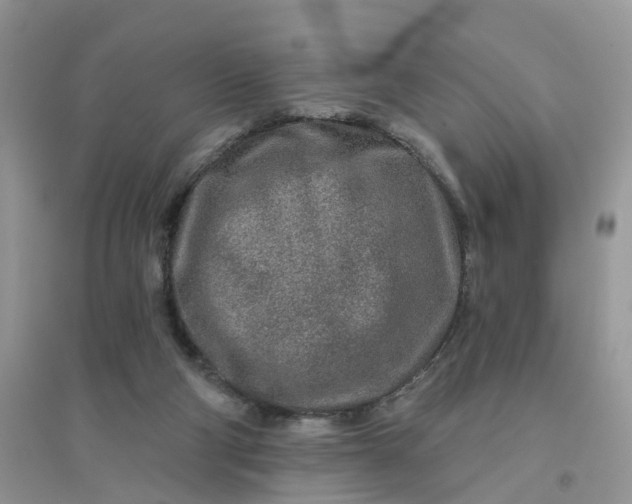 X0000096170114200802011328