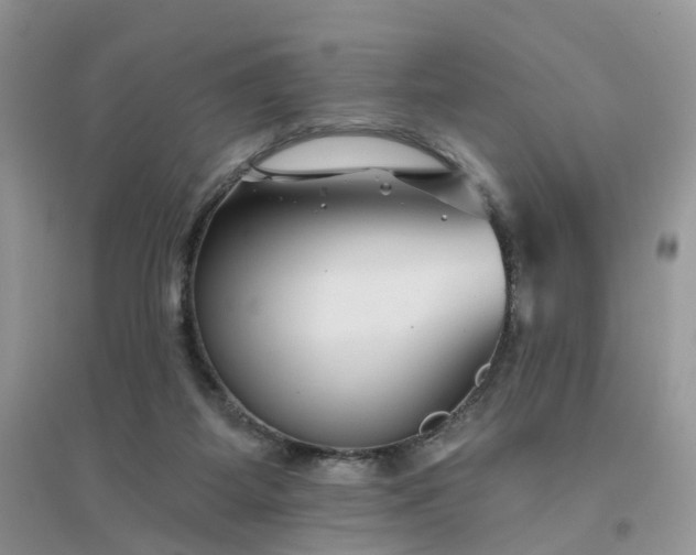 X0000096170115200802011328