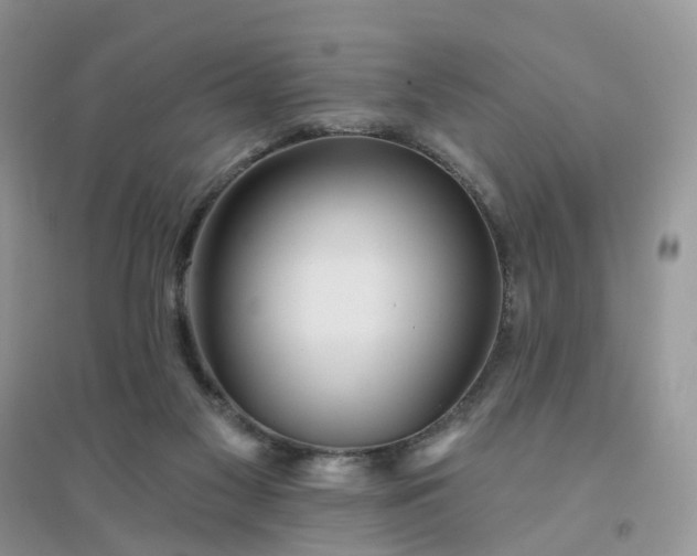 X0000096170117200802011328