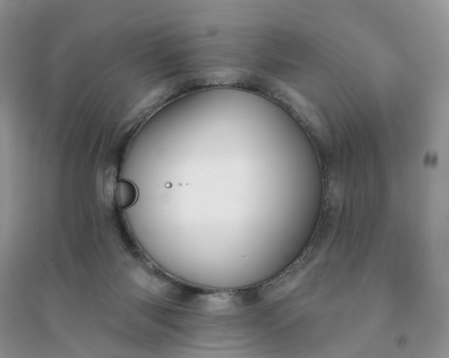 X0000096170118200802011328