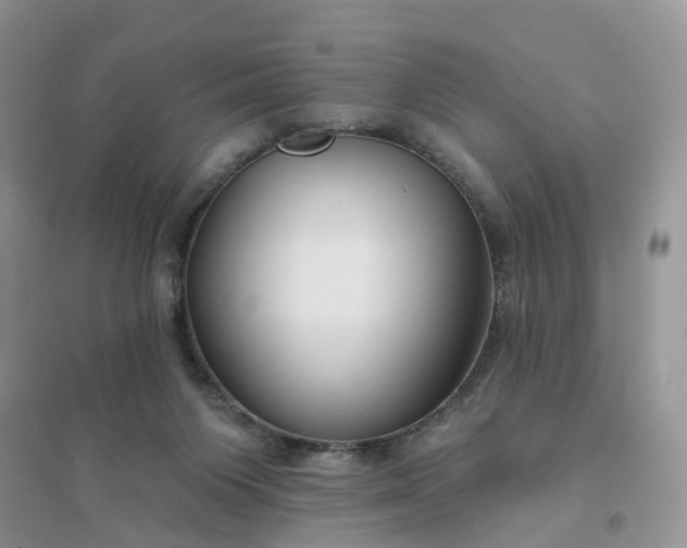 X0000096170119200802011328