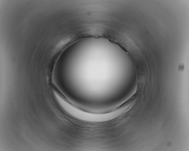 X0000096170120200802011328