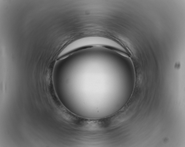 X0000096170121200802011328