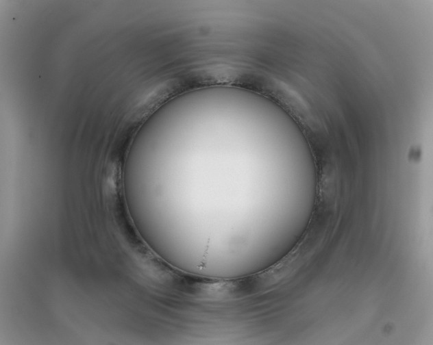 X0000096170122200802011328