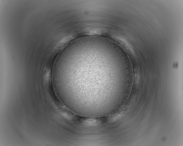 X0000096170123200802011328