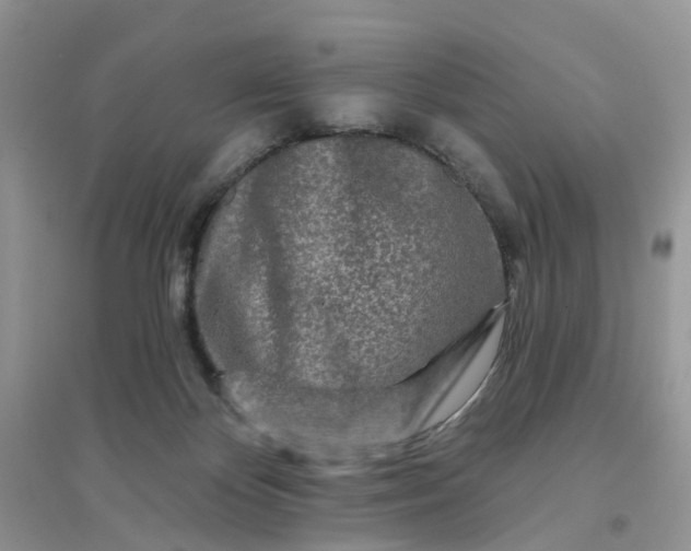 X0000096170124200802011328