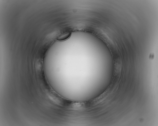 X0000096170126200802011328