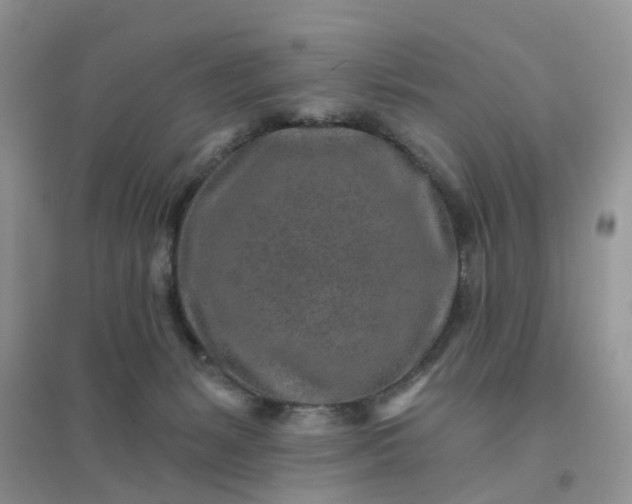 X0000096170127200802011328