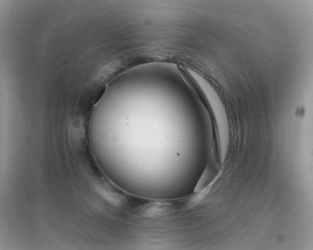 X0000096170128200802011328