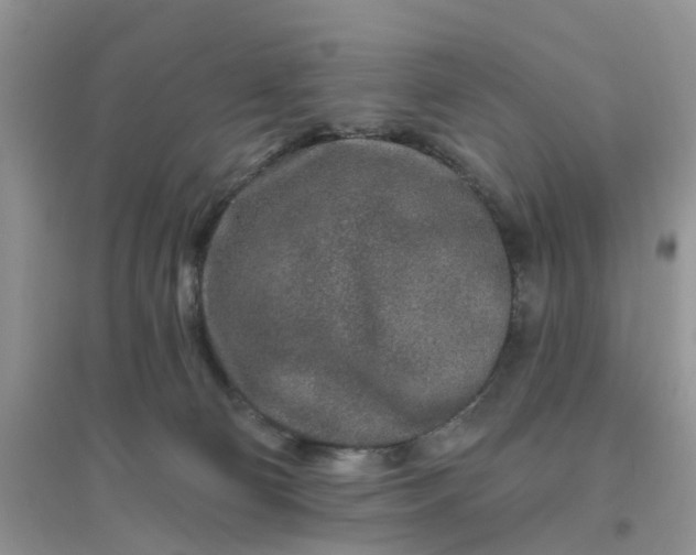 X0000096170130200802011328