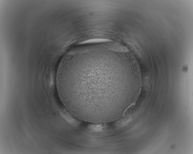 X0000096170131200802011328