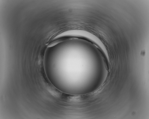 X0000096170132200802011327