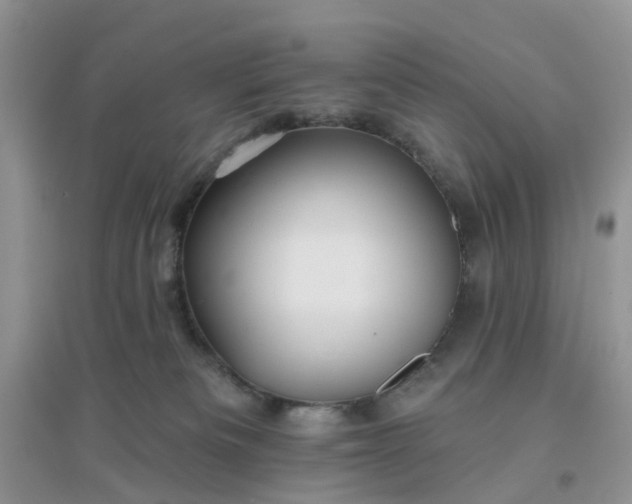 X0000096170133200802011327