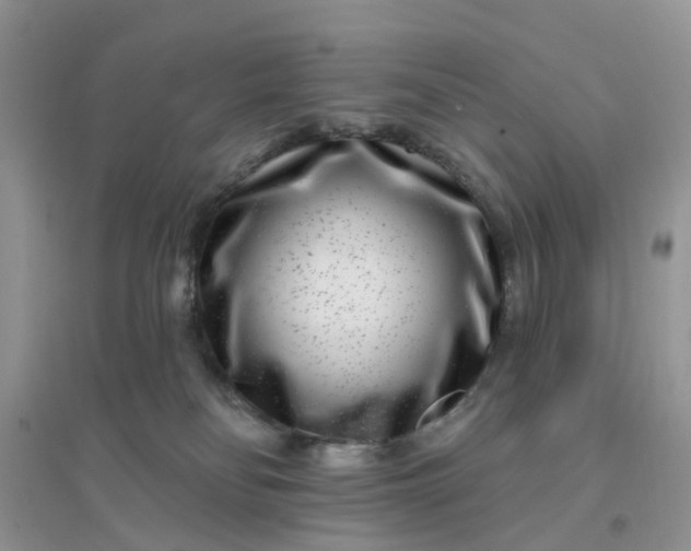 X0000096170134200802011327