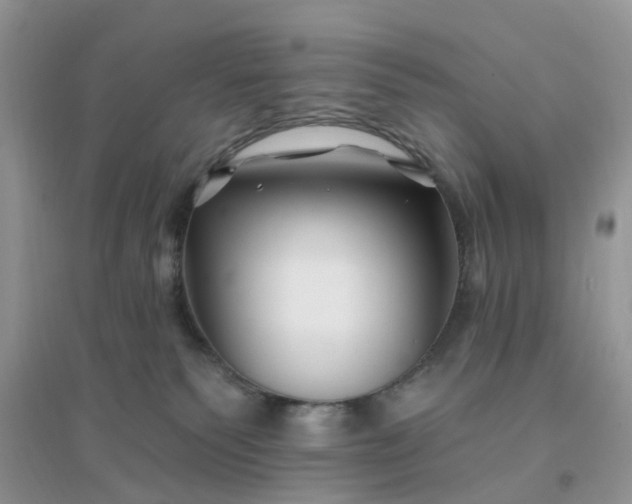 X0000096170135200802011327