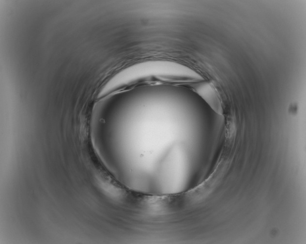 X0000096170136200802011327