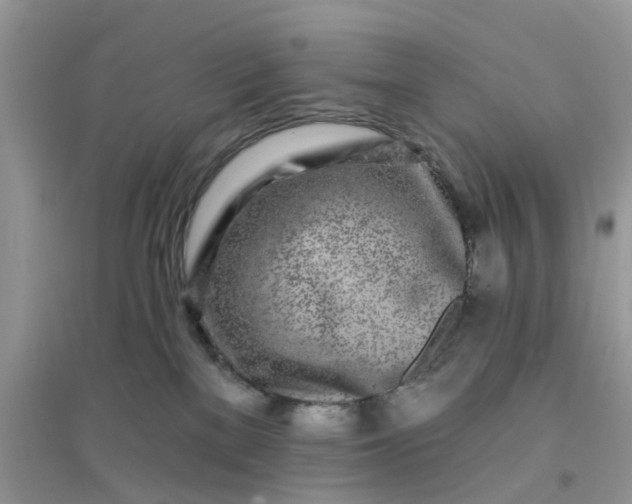 X0000096170137200802011327