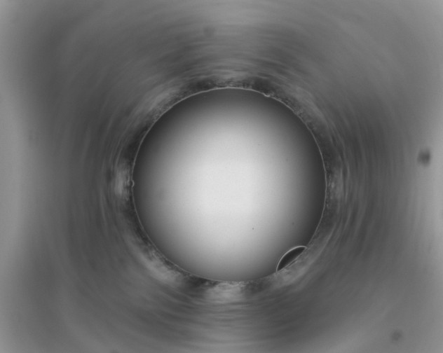 X0000096170138200802011327