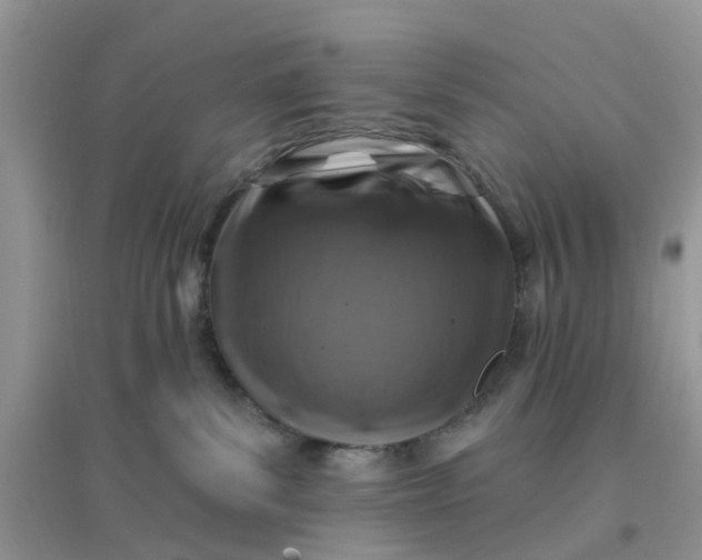 X0000096170139200802011327