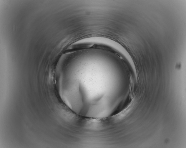 X0000096170140200802011327