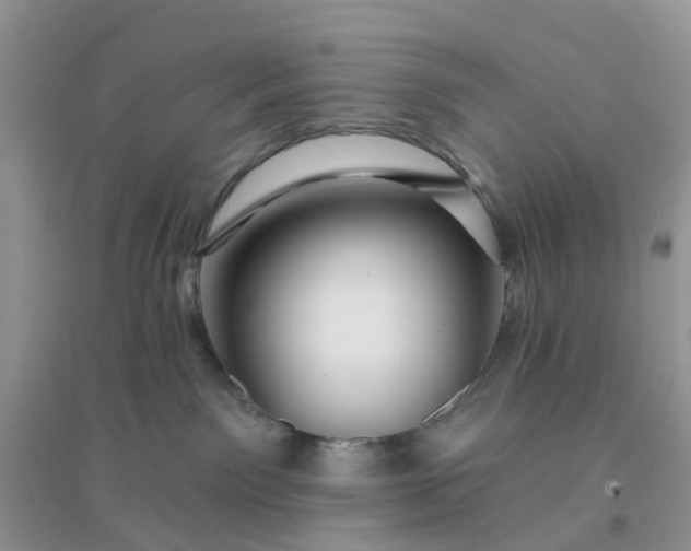 X0000096170141200802011327