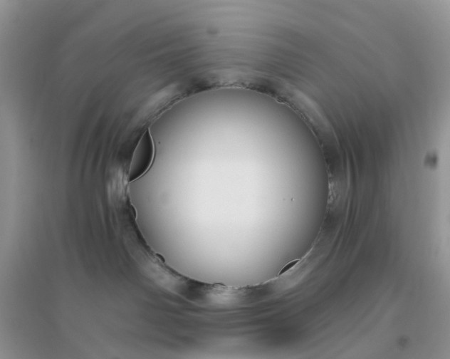 X0000096170142200802011327