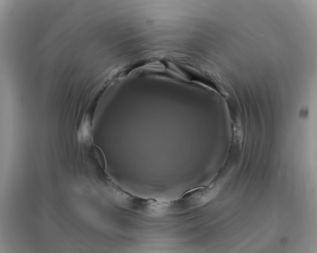 X0000096170143200802011327