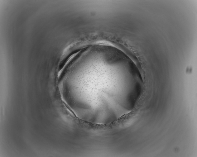 X0000096170144200802011327