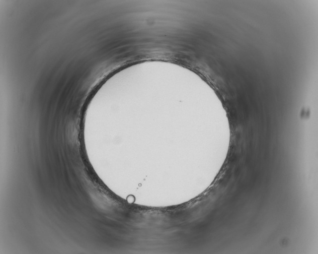 X0000096170146200802011327