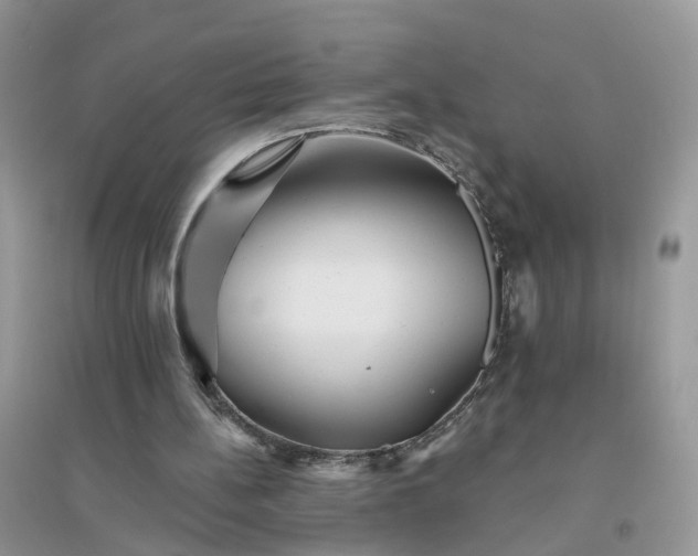 X0000096170148200802011327